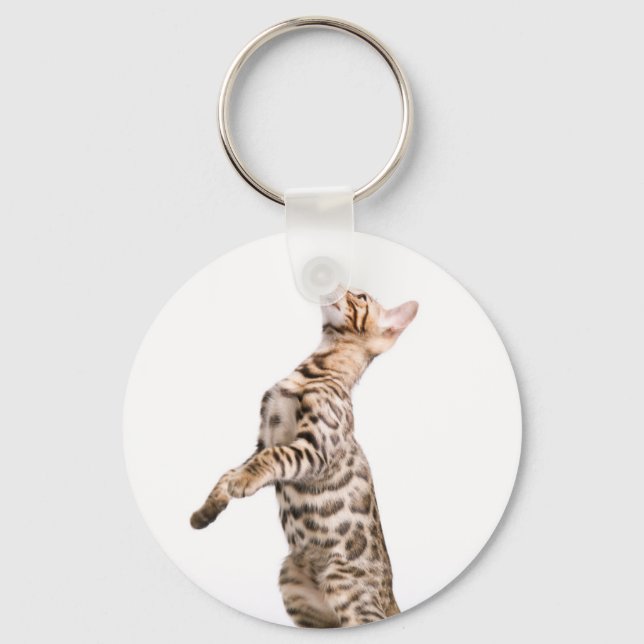 Porte-clés Chat du Bengale (Recto)