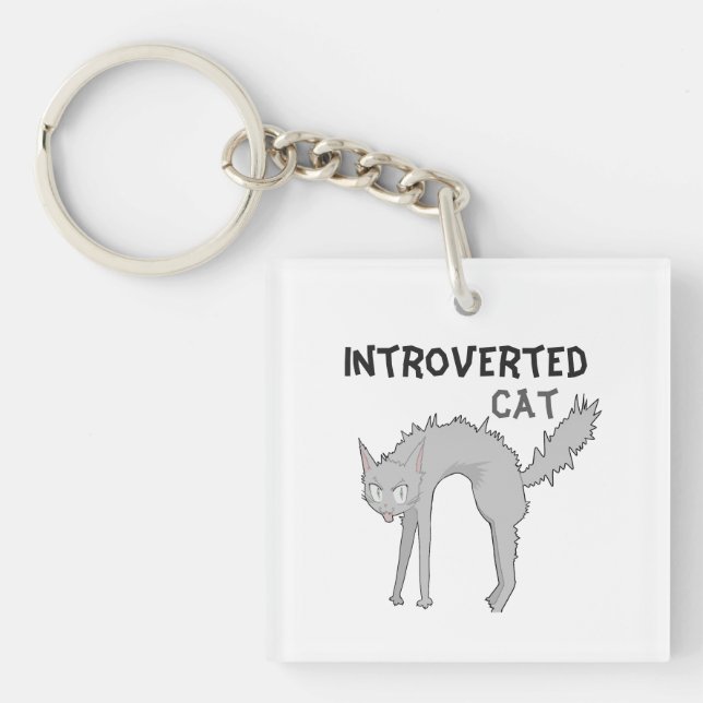 Porte-clés chat introverti drôle | Cadeau pour ami (Devant)