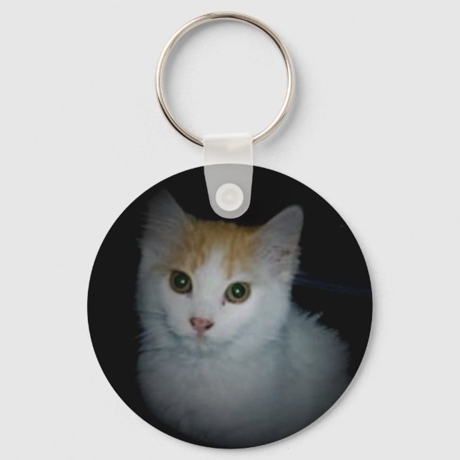 Porte-clés Chat n° 4 Porte - clé (Recto)