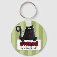 chat noir