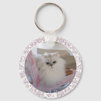 Chat Persan blanc sur une chaise rose