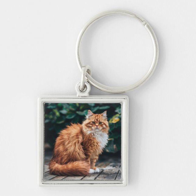 Porte-clés Chat perse orange (Devant)