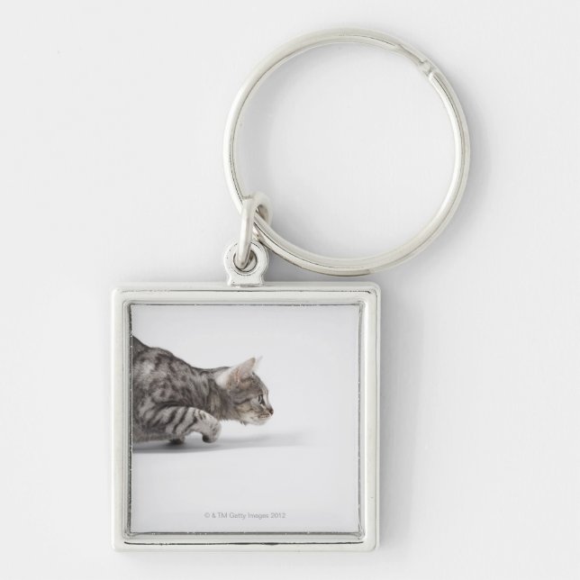 Porte-clés Chat prêt à sauter (Devant)