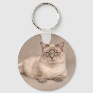 Porte-clés Chat Ragdoll