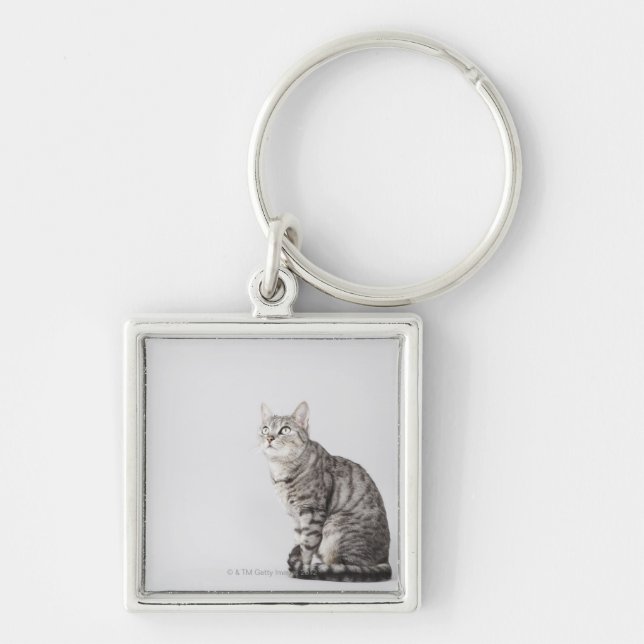 Porte-clés Chat recherchant (Devant)