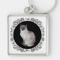 Chat siamois aux yeux bleus