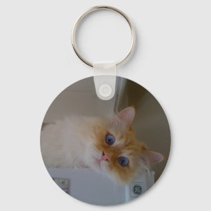 Porte-clés Chat sibérien de forêt