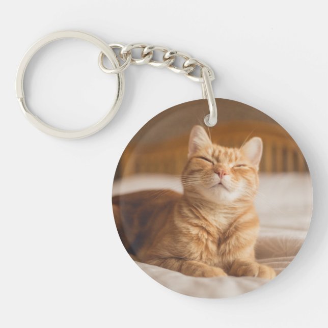 Porte-clés Chat somnolent des images | de Getty (Devant)