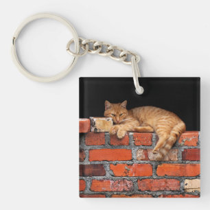 Porte-clés Chat sur mur de briques