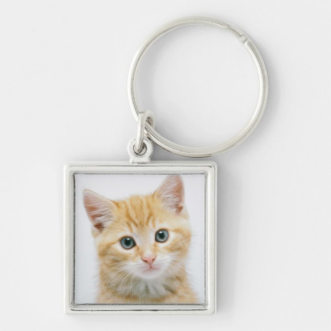 Porte-clés Chat tigré d'orange douce (Devant)