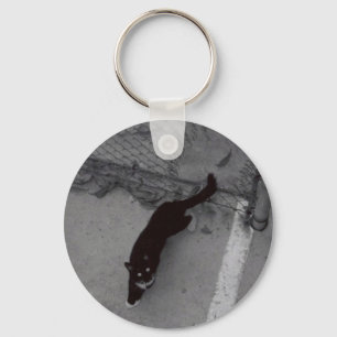 Porte-clés Chat urbain