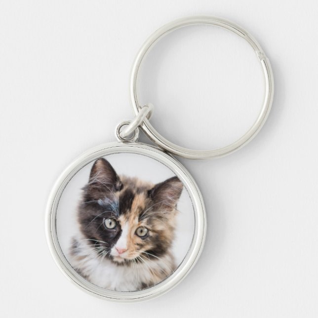 Porte-clés Chaton adorable de calicot (Devant)
