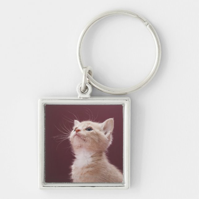 Porte-clés Chaton avec des favoris (Devant)