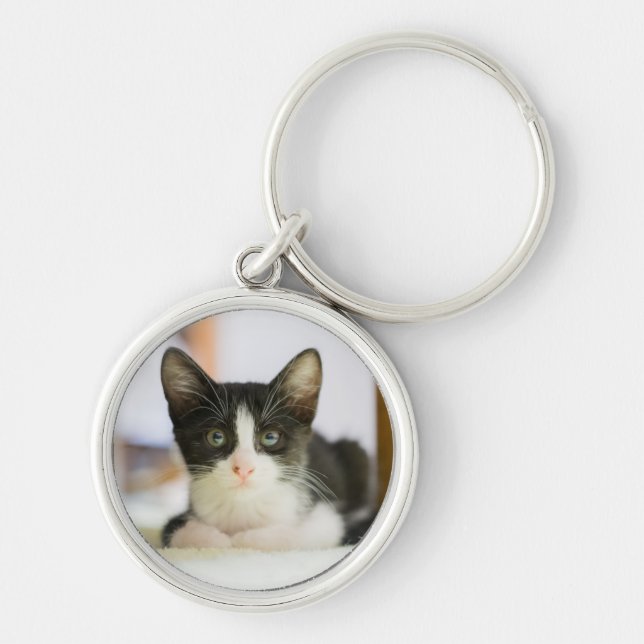 Porte-clés Chaton blanc et noir doux (Devant)