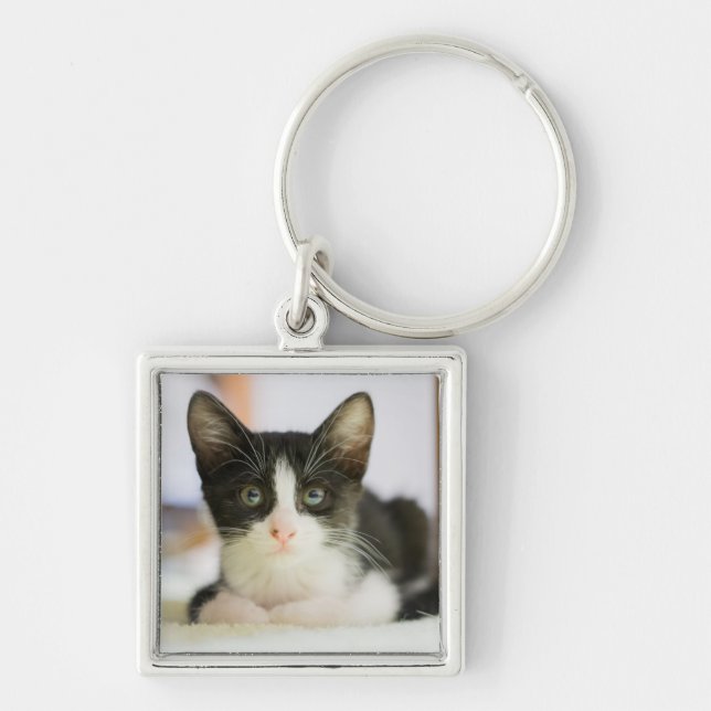 Porte-clés Chaton blanc et noir doux (Devant)