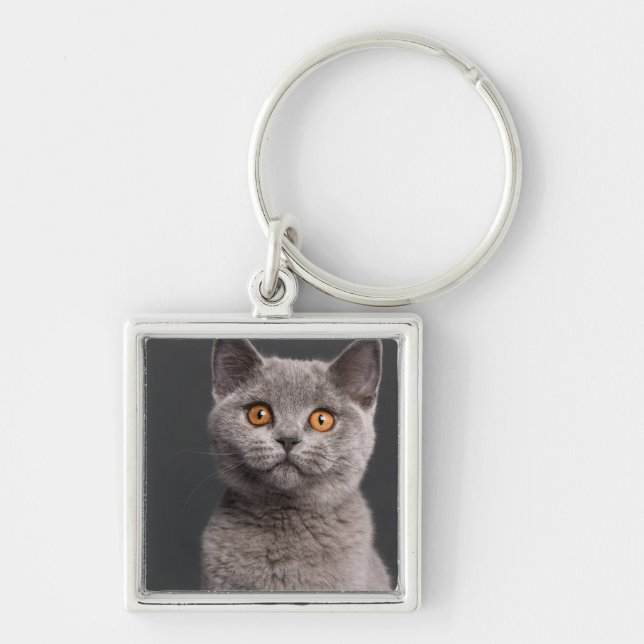 Porte-clés Chaton britannique de Shorthair (3 mois) (Devant)