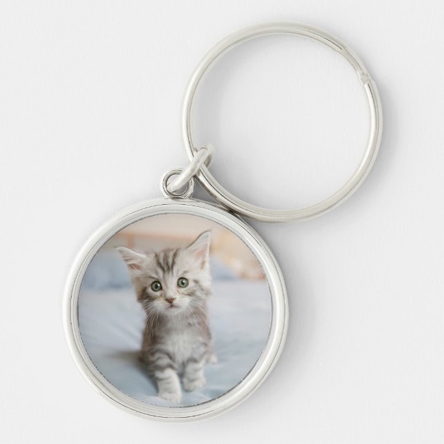 Porte-clés Chaton de ragondin du Maine (Devant)