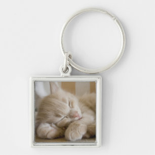 Porte-clés Chaton de sommeil