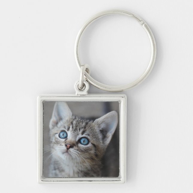 Porte-clés Chaton mignon dans le jardin (Devant)