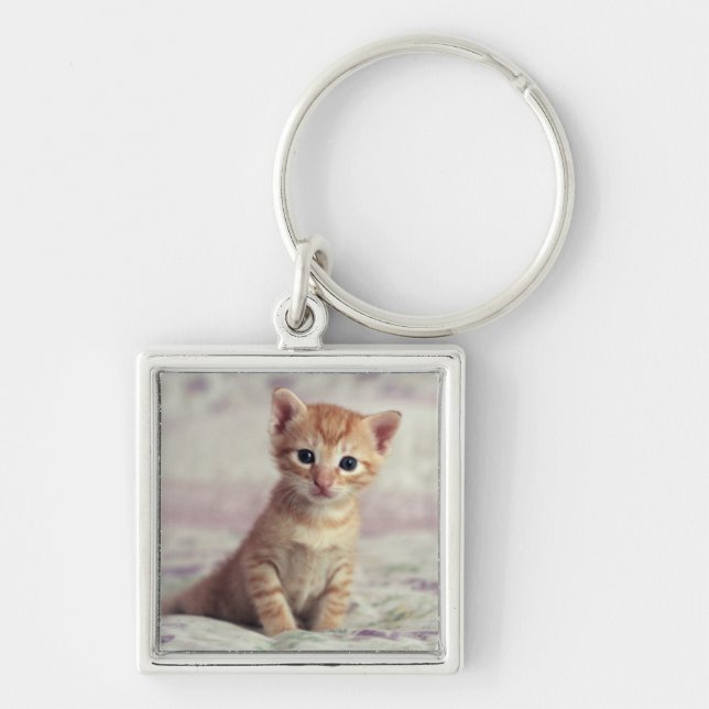 Porte-clés Chaton minuscule de gingembre (Devant)