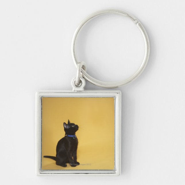 Porte-clés Chaton noir dans le collier (Devant)
