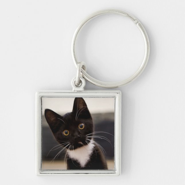 Porte-clés Chaton noir et blanc mignon de smoking (Devant)
