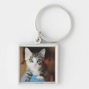 Porte-clés Chaton observé par bleu lumineux