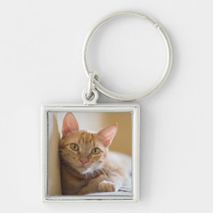 Porte-clés Chaton se trouvant sur le divan