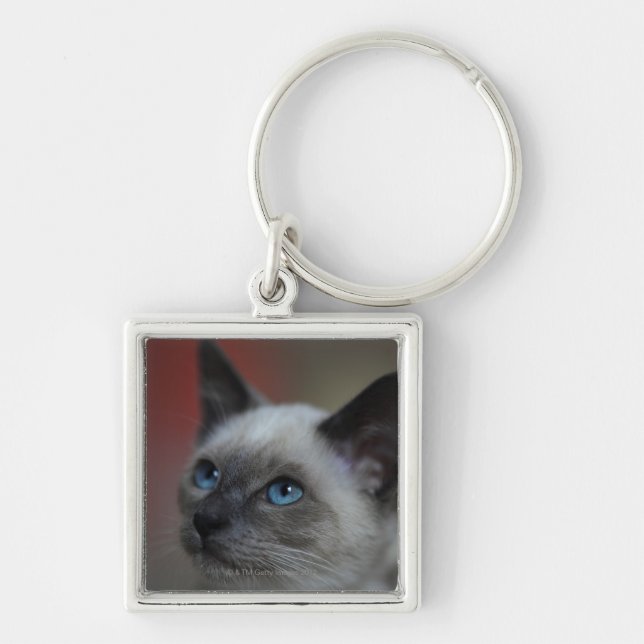 Porte-clés Chaton siamois (Devant)