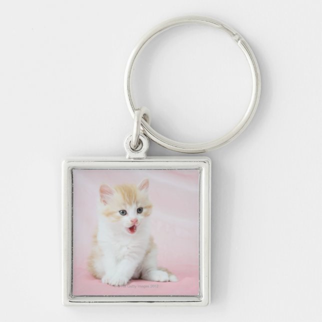 Porte-clés Chaton sur l'arrière - plan rose (Devant)