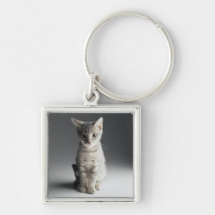 Porte-clés Chaton tigré bleu