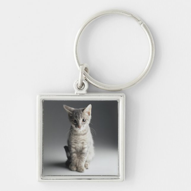 Porte-clés Chaton tigré bleu (Devant)