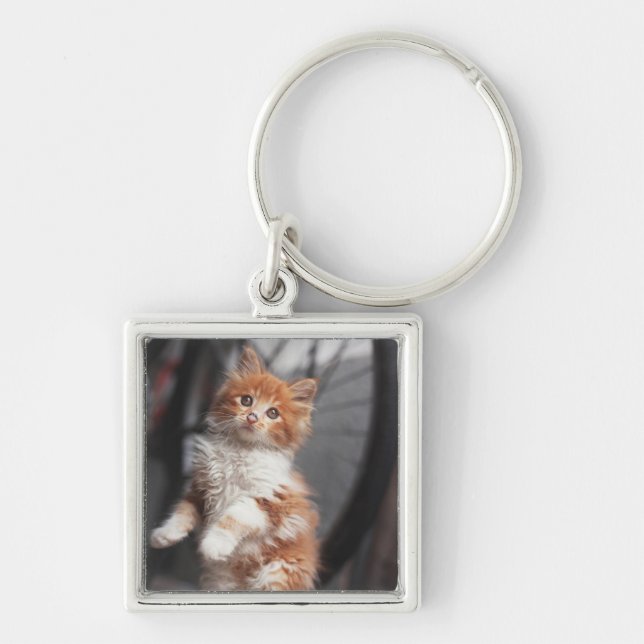 Porte-clés Chaton tigré orange (Devant)