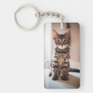 Porte-clés Chaton tigré sur le Tableau