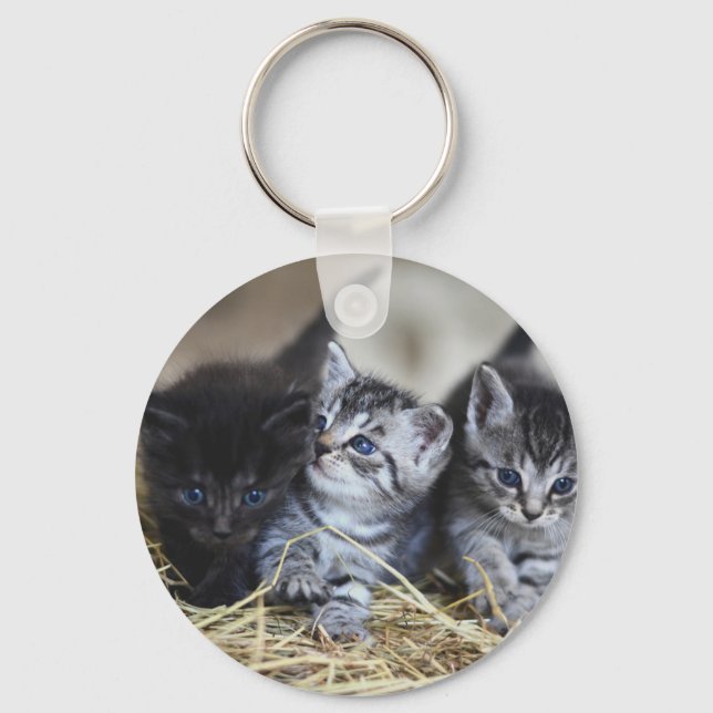 Porte-clés Chatons, Animal de compagnie, Félins (Recto)