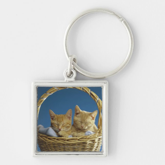 Porte-clés Chatons dormant dans le panier (Devant)
