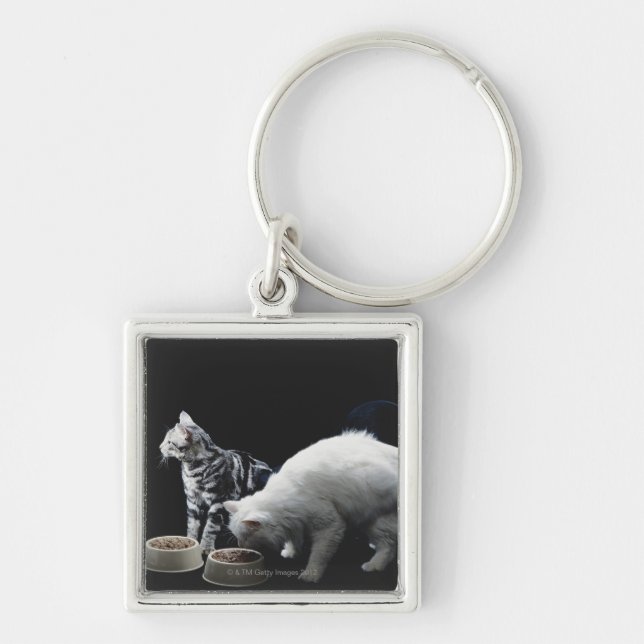 Porte-clés Chats avec le bol de nourriture (Devant)