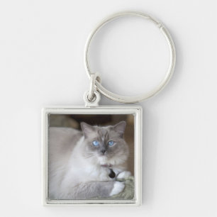 Porte-clés Chatte Ragdoll