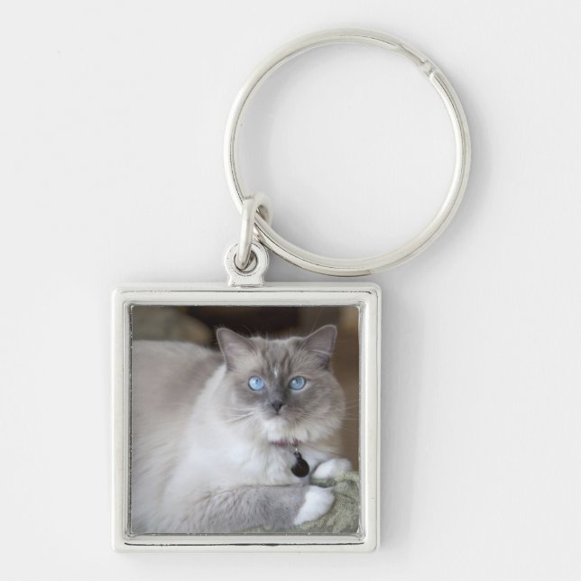 Porte-clés Chatte Ragdoll (Devant)