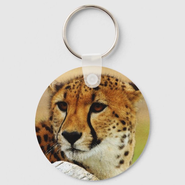 Porte-clés Cheetah (Recto)