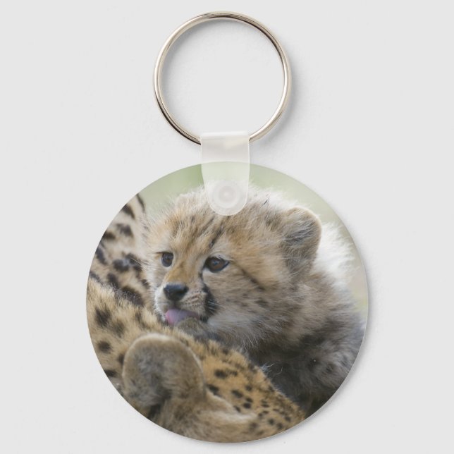Porte-clés Cheetah Cub avec maman (Recto)