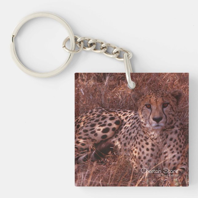 Porte-clés Cheetah Stare (Devant)