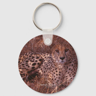 Porte-clés Cheetah Stare