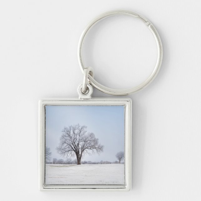 Porte-clés Chêne d'hiver surligné (Devant)