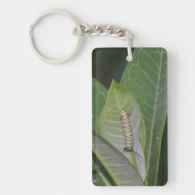 Porte-clés chenille de monarque (Devant)