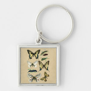 Porte-clés Chenilles, papillons et mites de machaon