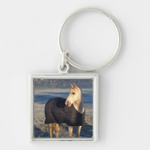 Porte-clés cheval
