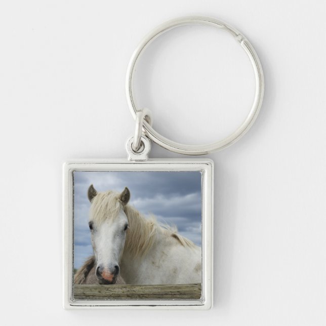 Porte-clés Cheval blanc | France (Devant)