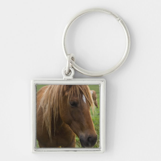 Porte-clés Cheval Bonjour (Devant)