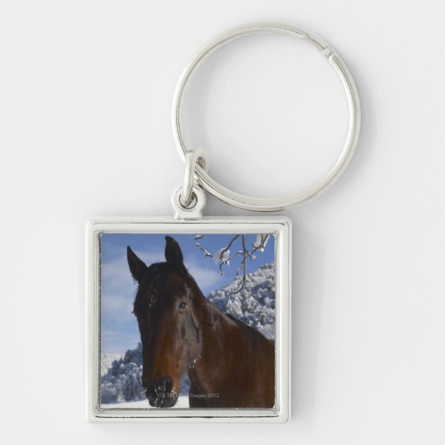 Porte-clés Cheval Brown en hiver (Devant)